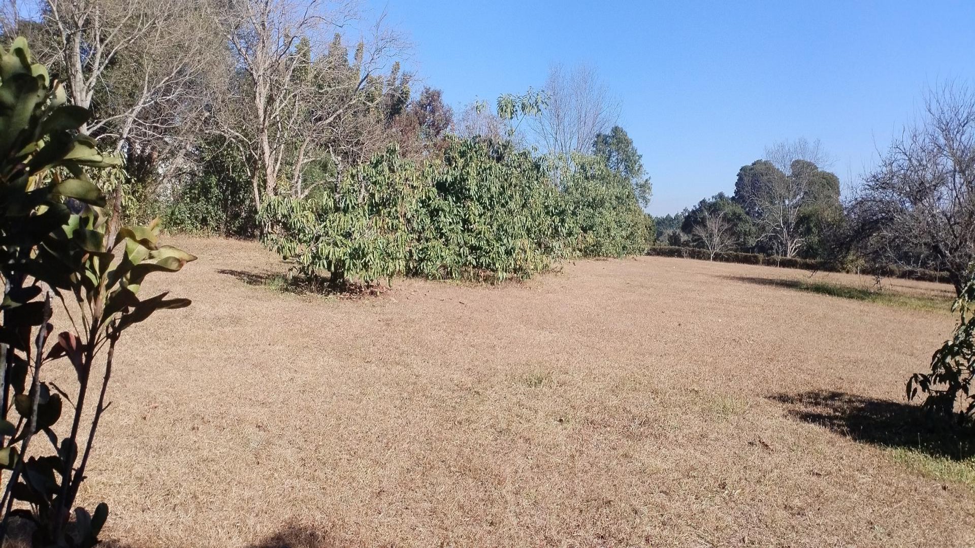 Garden of property in Merrivale