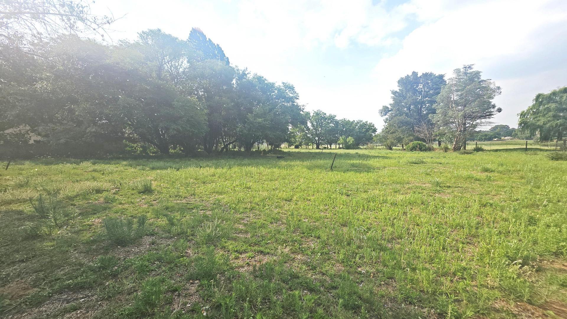 Backyard of property in Heidelberg - GP