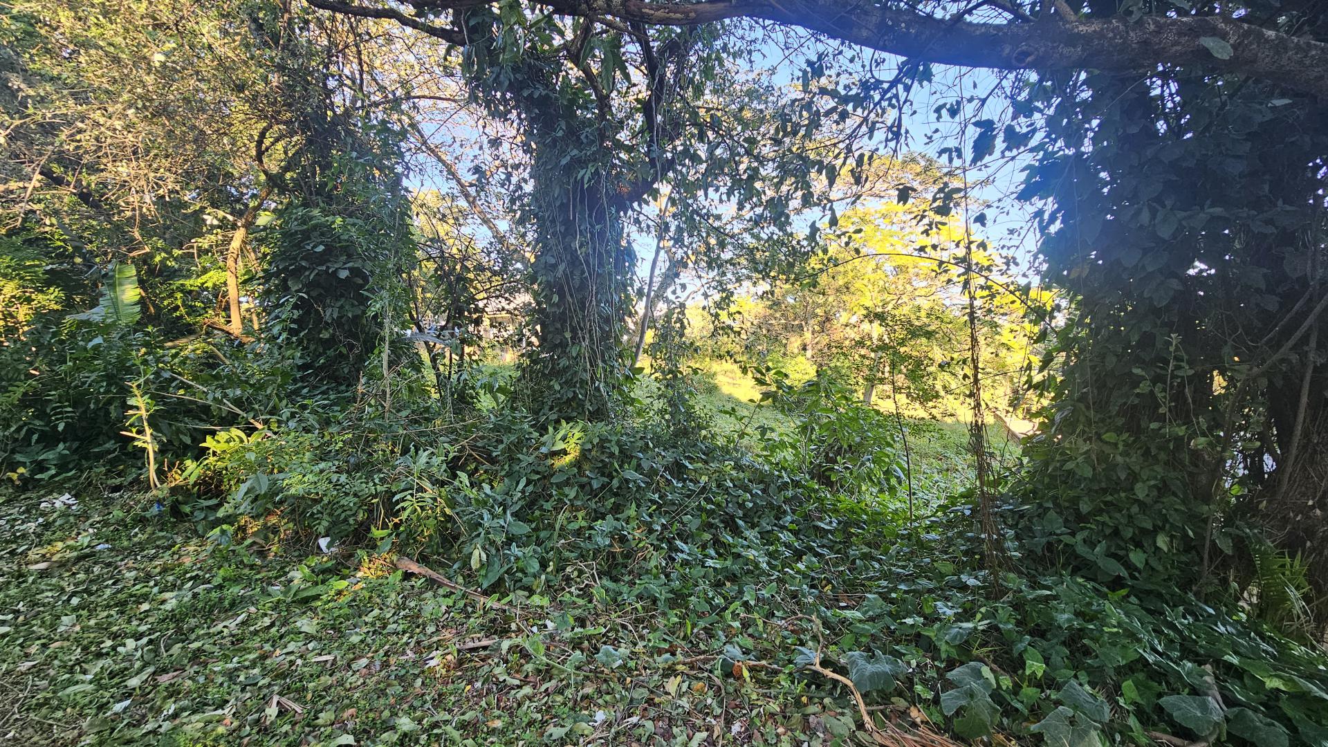 Front View of property in St Micheals on Sea