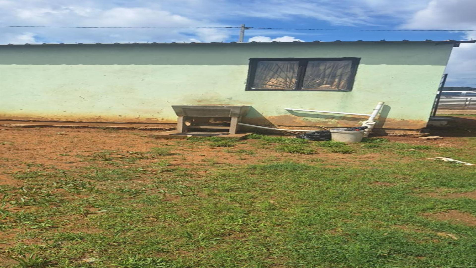 Backyard of property in Geluksdal