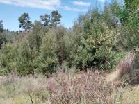 Land for Sale for sale in Mossel Bay