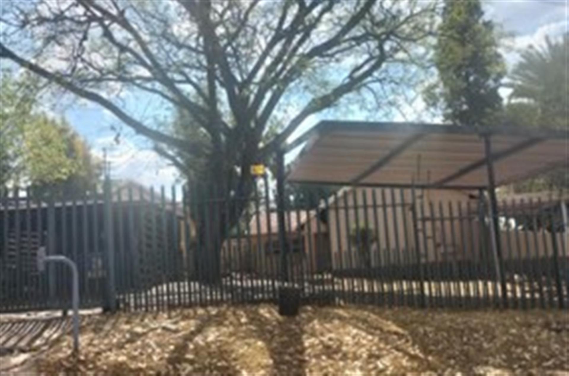 Front View of property in Wilropark
