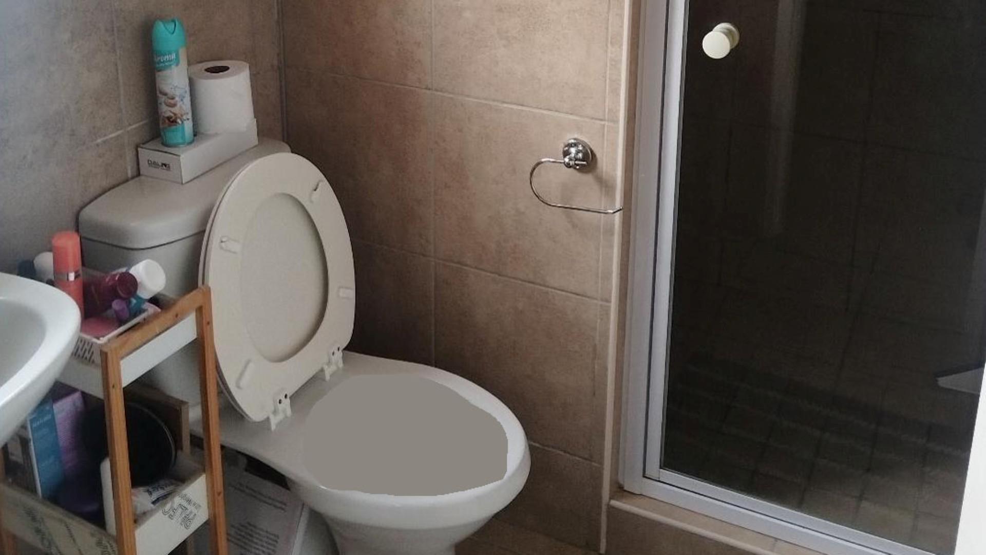 Bathroom 1 of property in Thatchfield Hills Estate