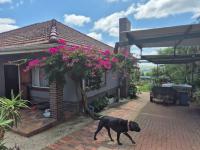  of property in Estcourt