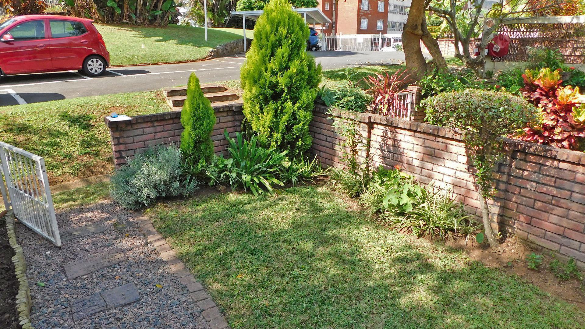 Garden of property in Musgrave