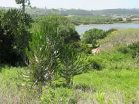  of property in Port Alfred