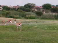  of property in Pebble Rock