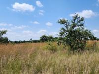  of property in Polokwane