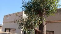 Front View of property in Roodekop