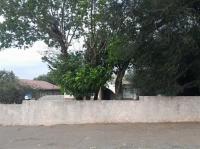 Front View of property in Homestead