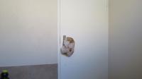 Bathroom 2 - 3 square meters of property in Sky City