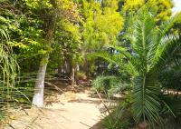  of property in Paarl