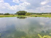 Smallholding for Sale for sale in Parys
