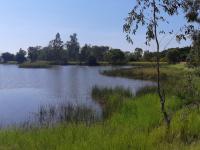  of property in Farm Haakdoornboom