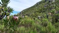  of property in Montagu
