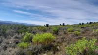  of property in Montagu
