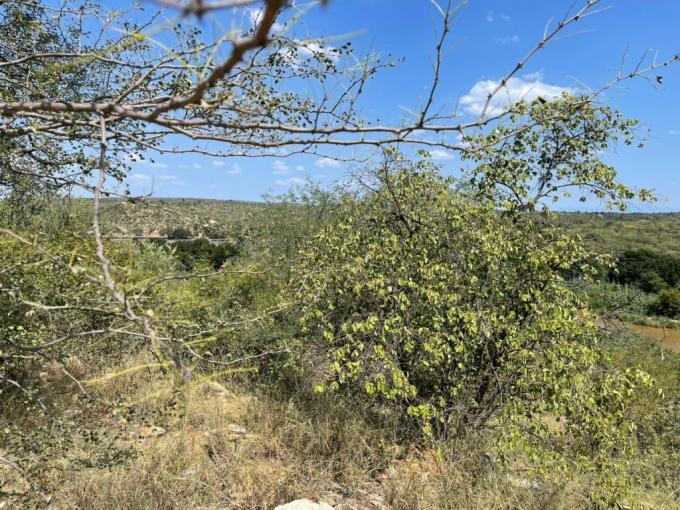 Land for Sale For Sale in Hoedspruit - MR625271