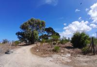 Farm for Sale for sale in Philipi