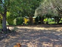 Farm for Sale for sale in Musina