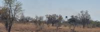 Land for Sale for sale in Bultfontein 192-Ir
