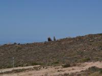  of property in Britannica Heights