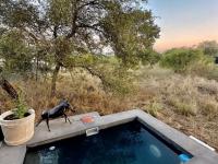  of property in Hoedspruit