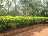 Backyard of property in Polokwane