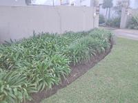  of property in Piet Retief
