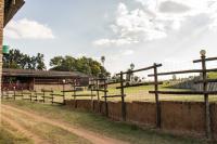  of property in Pyramid