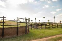  of property in Pyramid