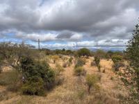  of property in Hoedspruit