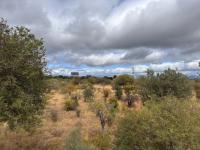  of property in Hoedspruit