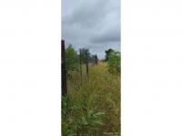  of property in Malamulele