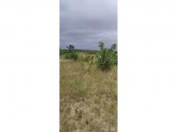  of property in Malamulele