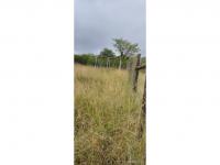 of property in Malamulele