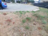  of property in Thornhill
