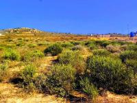  of property in Steenberg Golf Estate