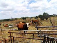 Smallholding for Sale for sale in Tweefontein