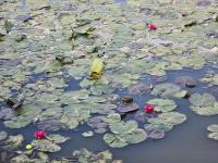  of property in Paarl