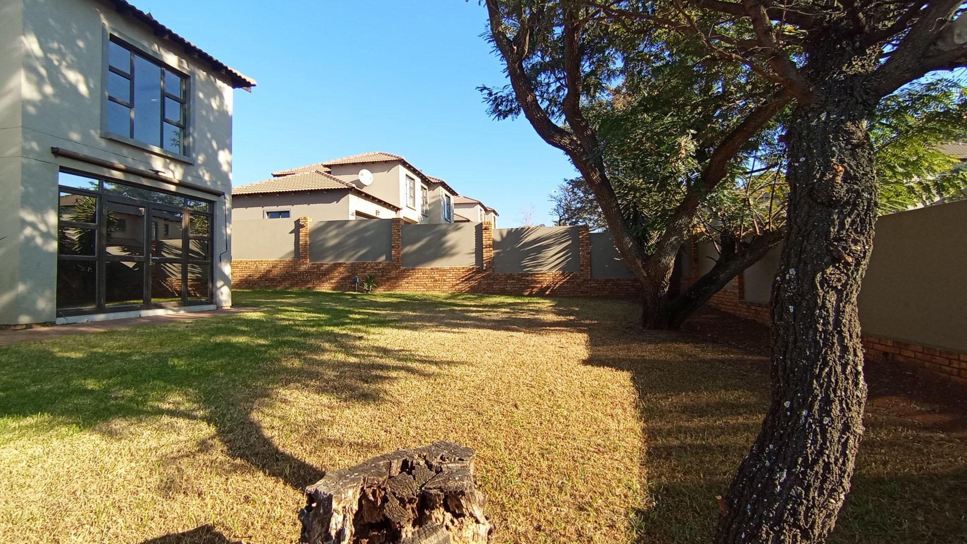 Backyard of property in Rua Vista