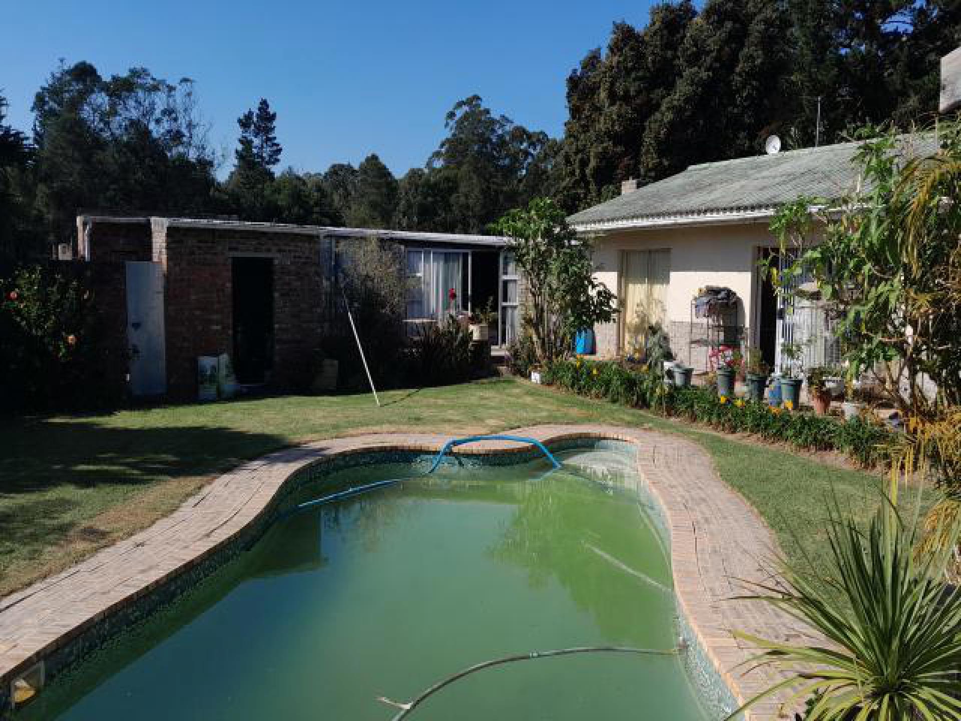 Backyard of property in Port Elizabeth Central