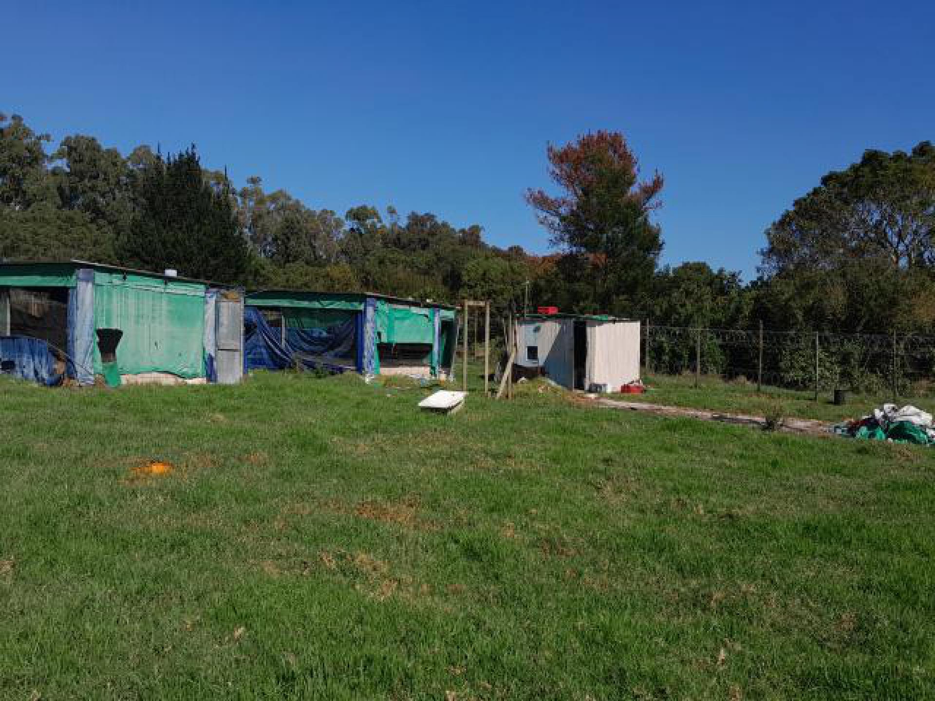 Backyard of property in Port Elizabeth Central