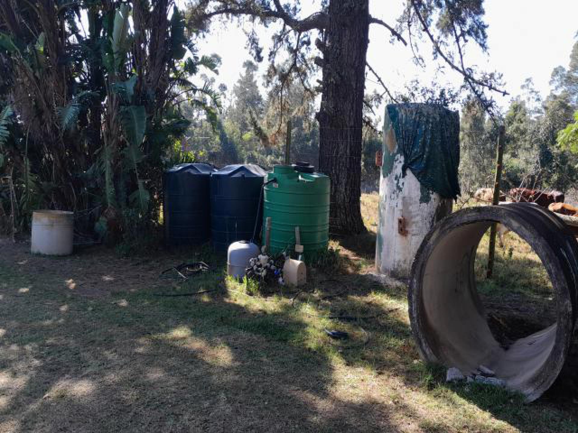 Spaces of property in Port Elizabeth Central