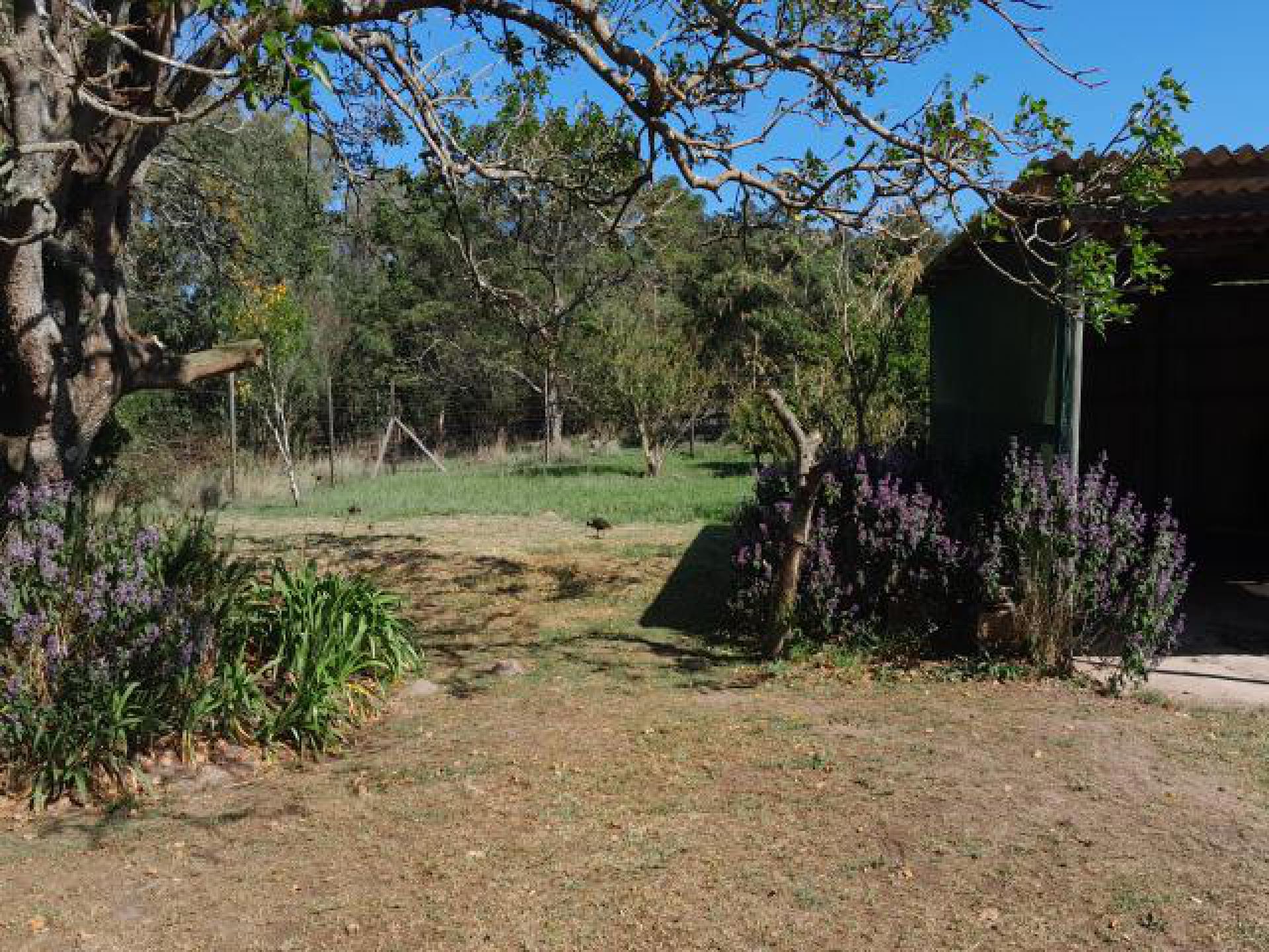 Backyard of property in Port Elizabeth Central