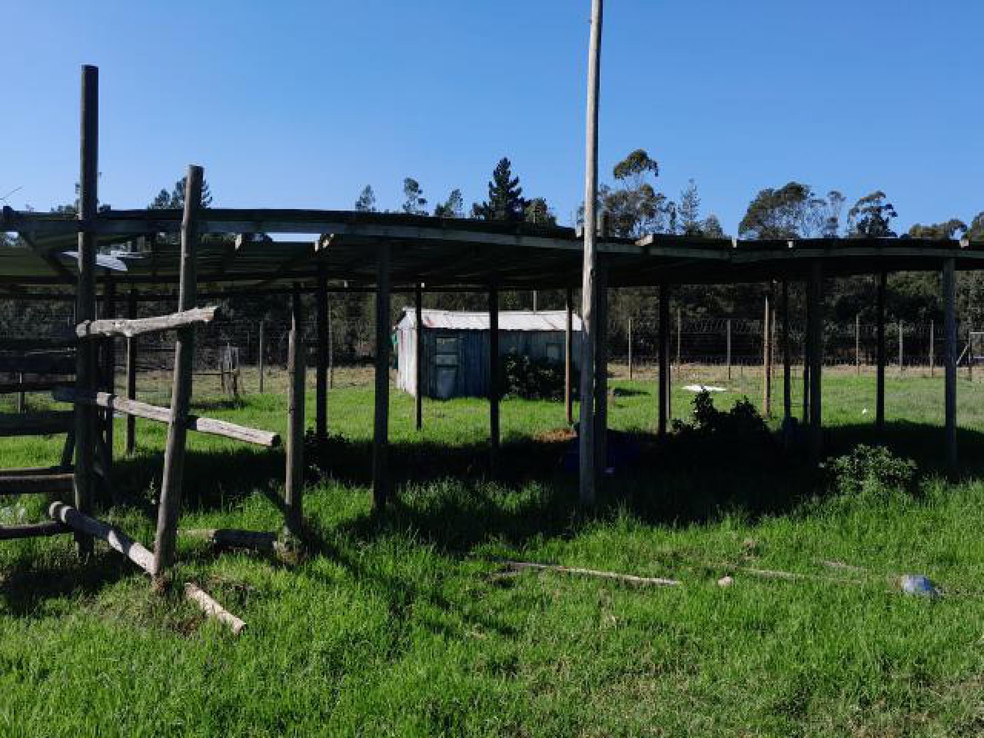 Backyard of property in Port Elizabeth Central