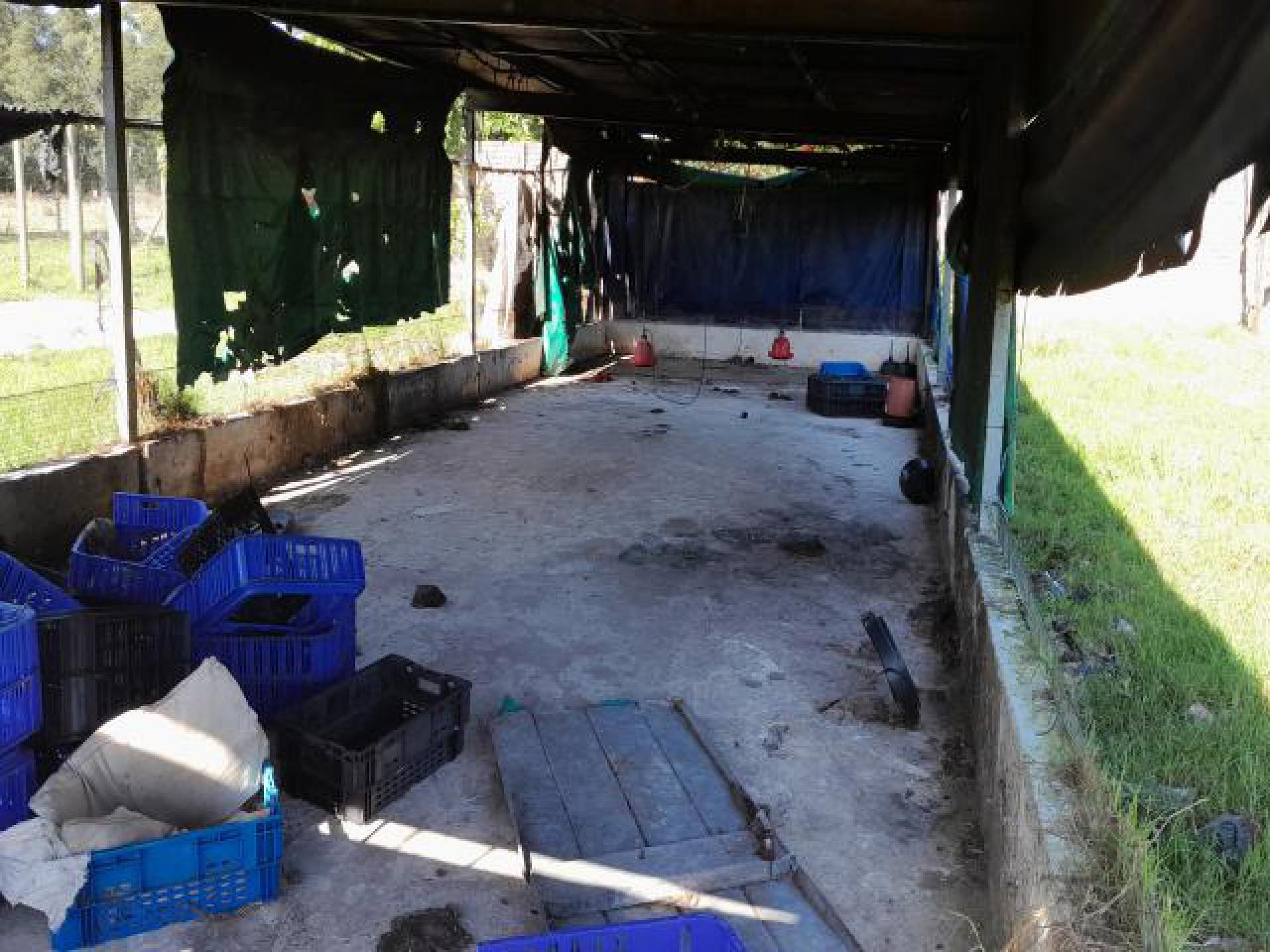 Spaces of property in Port Elizabeth Central