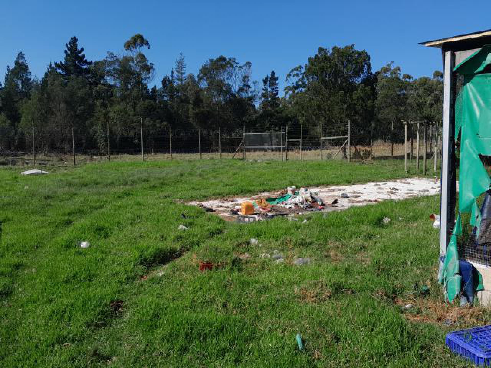 Backyard of property in Port Elizabeth Central