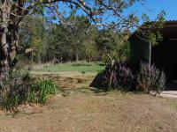 Backyard of property in Port Elizabeth Central