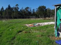 Backyard of property in Port Elizabeth Central