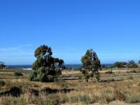 Land for Sale for sale in St Helena Bay